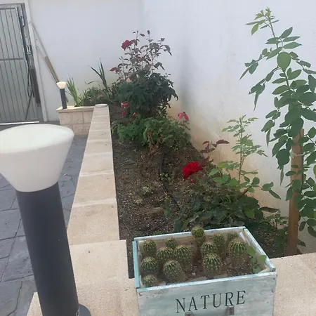 Fuente La Teja *