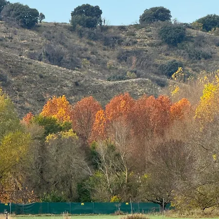 Fuente La Teja * Espinosa de Henares
